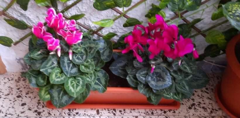 Sunshiny Costa Del Sol - Beach Apartment Fuengirola Zewnętrze zdjęcie
